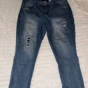 Plus Size Distressed Blue Women's Jeans